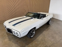 1969 Pontiac Firebird for sale in Michigan (ID-161201)