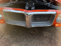1969 Pontiac Firebird for sale in Michigan (ID-161301)