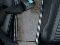 1969 Pontiac Firebird for sale in Michigan (ID-161301)