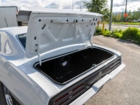 1969 Pontiac Firebird for sale in Michigan (ID-161454)