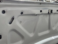 1969 Pontiac Firebird for sale in Michigan (ID-161454)