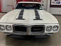 1969 Pontiac Firebird for sale in Michigan (ID-162539)