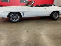 1969 Pontiac Firebird for sale in Michigan (ID-162539)