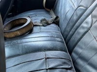 1969 Pontiac Firebird for sale in Michigan (ID-162681)