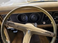 1969 Pontiac Firebird for sale in Michigan (ID-164157)