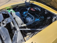 1969 Pontiac Firebird for sale in Michigan (ID-164157)