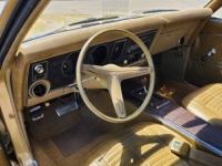 1969 Pontiac Firebird for sale in Michigan (ID-164157)