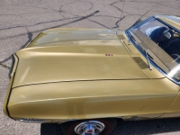 1969 Pontiac Firebird for sale in Michigan (ID-164157)