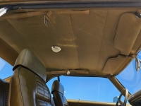 1969 Pontiac Firebird for sale in Michigan (ID-164157)