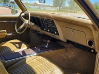 1969 Pontiac Firebird for sale in Michigan (ID-164157)