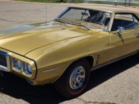 1969 Pontiac Firebird for sale in Michigan (ID-164157)