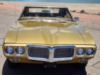 1969 Pontiac Firebird for sale in Michigan (ID-164157)