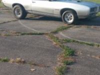 1969 Pontiac GTO for sale in Michigan (ID-134737)