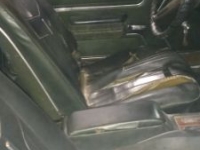 1969 Pontiac GTO for sale in Michigan (ID-134737)