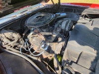 1969 Pontiac GTO for sale in Michigan (ID-162967)