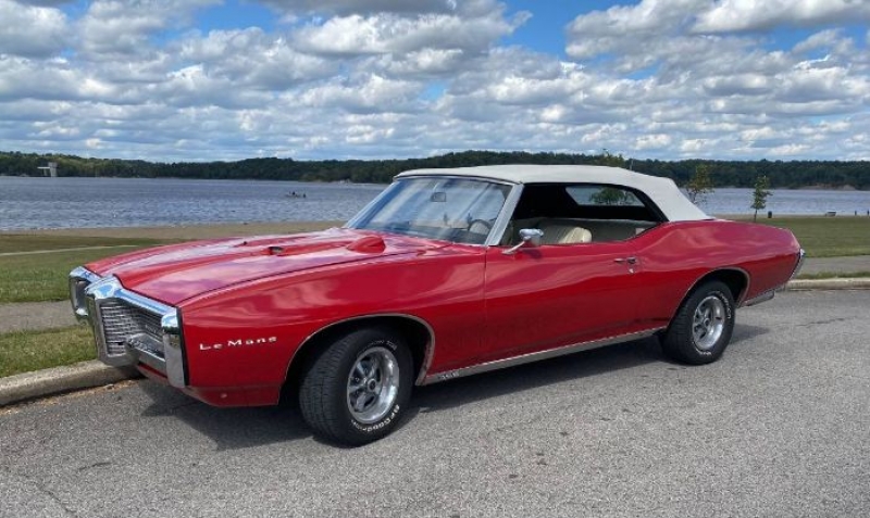 1969 Pontiac LeMans for sale in Michigan (ID-113314)