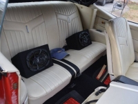 1969 Pontiac LeMans for sale in Michigan (ID-113314)
