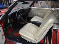 1969 Pontiac LeMans for sale in Michigan (ID-113314)