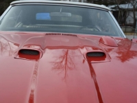 1969 Pontiac LeMans for sale in Michigan (ID-113314)