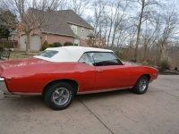 1969 Pontiac LeMans for sale in Michigan (ID-113314)