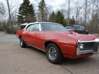 1969 Pontiac LeMans for sale in Michigan (ID-113314)