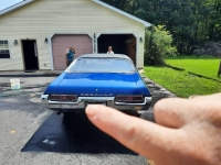 1969 Pontiac LeMans for sale in Michigan (ID-119318)