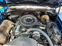 1969 Pontiac LeMans for sale in Michigan (ID-119318)