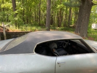 1969 Pontiac LeMans for sale in Michigan (ID-128398)