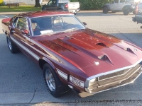 1969 Shelby GT500 for sale in Sedro Wooley, Washington (ID-144289)