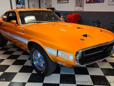 1969 Shelby GT500 for sale in New York