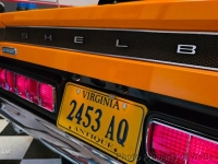 1969 Shelby GT500 for sale in Medford, New York (ID-155717)