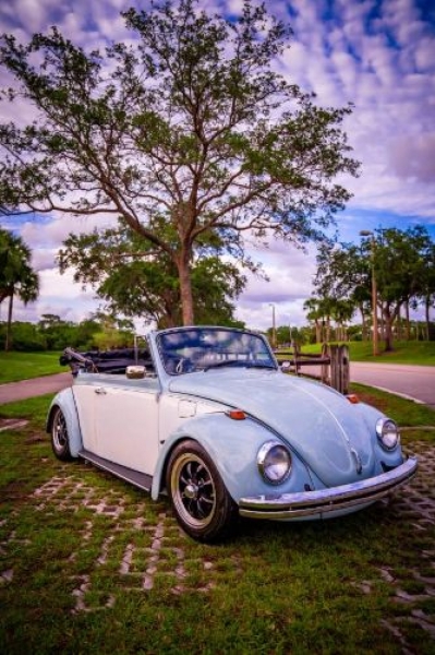 1969 Volkswagen Beetle for sale in Michigan (ID-117111)