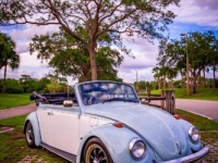 1969 Volkswagen Beetle for sale in Michigan (ID-117111)