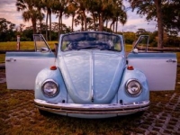 1969 Volkswagen Beetle for sale in Michigan (ID-117111)