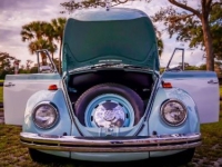 1969 Volkswagen Beetle for sale in Michigan (ID-117111)