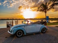 1969 Volkswagen Beetle for sale in Michigan (ID-117111)