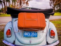 1969 Volkswagen Beetle for sale in Michigan (ID-117111)