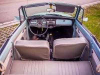 1969 Volkswagen Beetle for sale in Michigan (ID-117111)