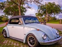 1969 Volkswagen Beetle for sale in Michigan (ID-117111)