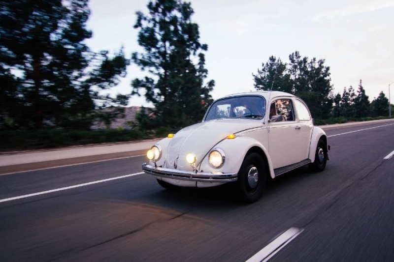 1969 Volkswagen Beetle for sale in Michigan (ID-117131)
