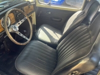 1969 Volkswagen Beetle for sale in Michigan (ID-130069)