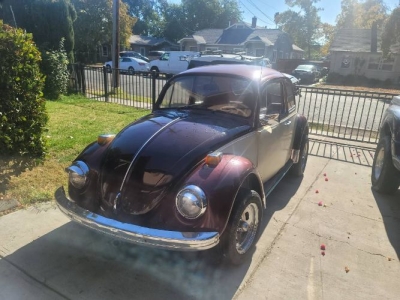 1969 Volkswagen Beetle for sale