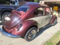 1969 Volkswagen Beetle for sale in Michigan (ID-135946)