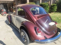 1969 Volkswagen Beetle for sale in Michigan (ID-135946)