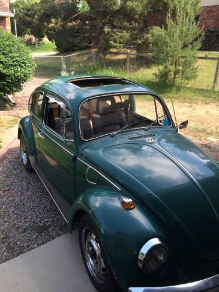 1969 Volkswagen Beetle for sale in Michigan (ID-138317)