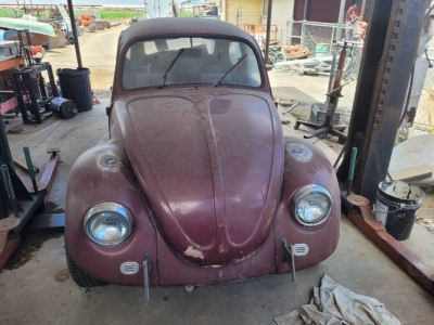 1969 Volkswagen Beetle for sale