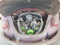 1969 Volkswagen Beetle for sale in Michigan (ID-138440)