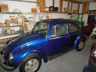 1969 Volkswagen Beetle for sale