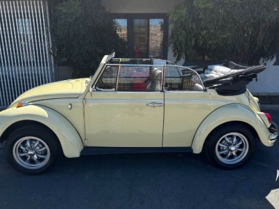 1969 Volkswagen Beetle for sale