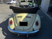 1969 Volkswagen Beetle for sale in Michigan (ID-139152)